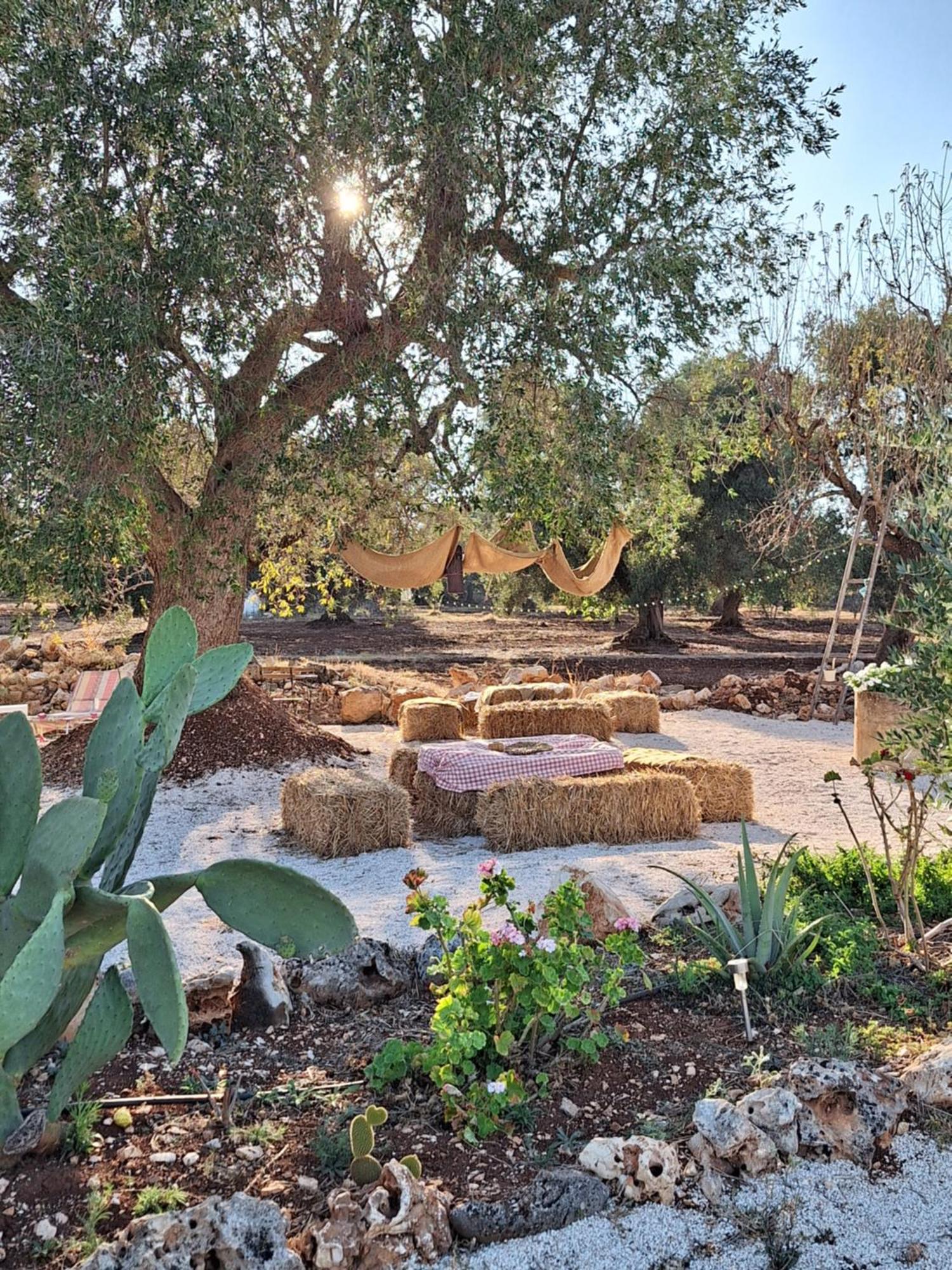 Residenza Anima Mediterranea Francavilla Fontana Dış mekan fotoğraf