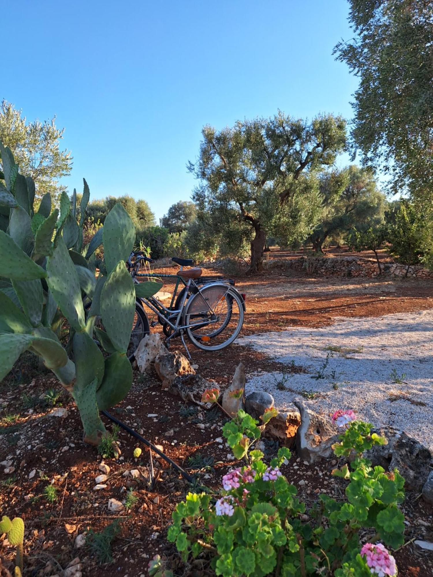Residenza Anima Mediterranea Francavilla Fontana Dış mekan fotoğraf